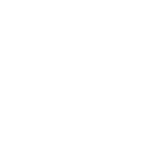Inseto